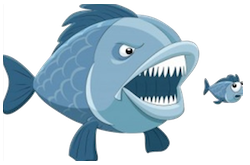 Piranha Stickers messages sticker-2