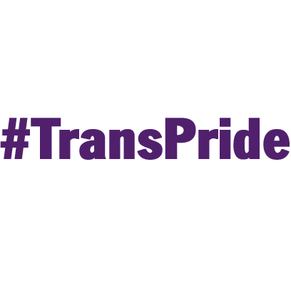 Trans Pride messages sticker-4