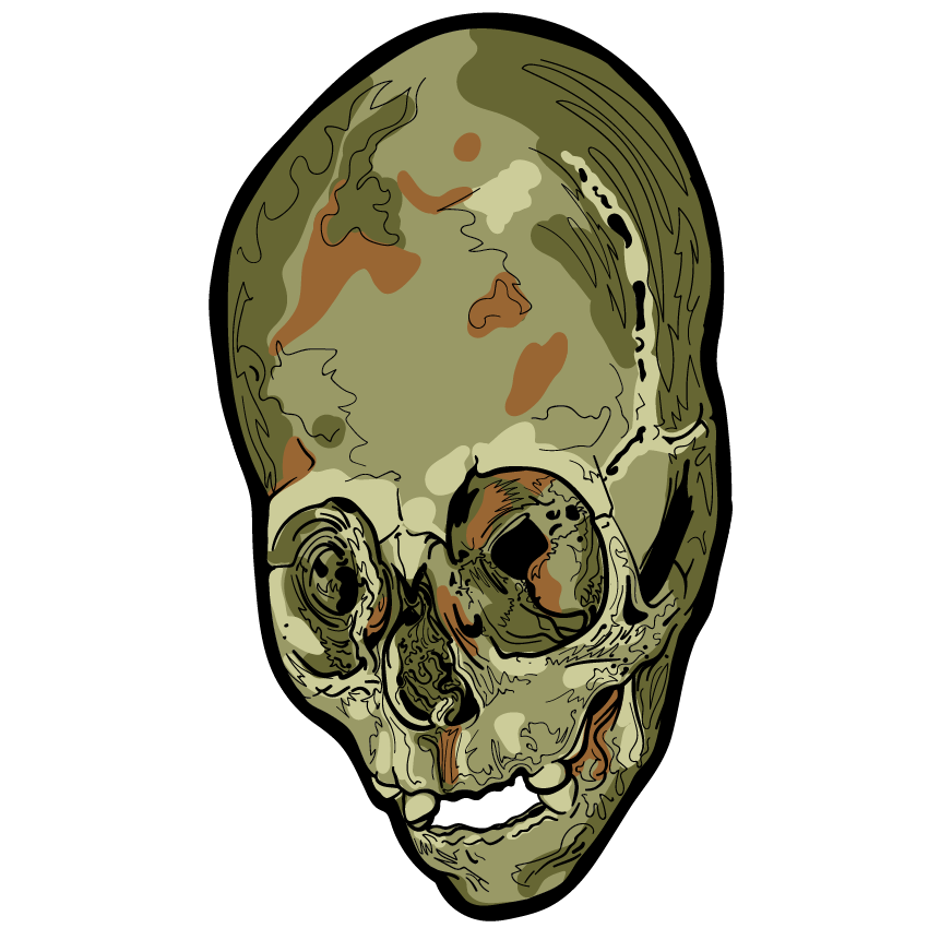 Skull Art Sticker Pack messages sticker-10