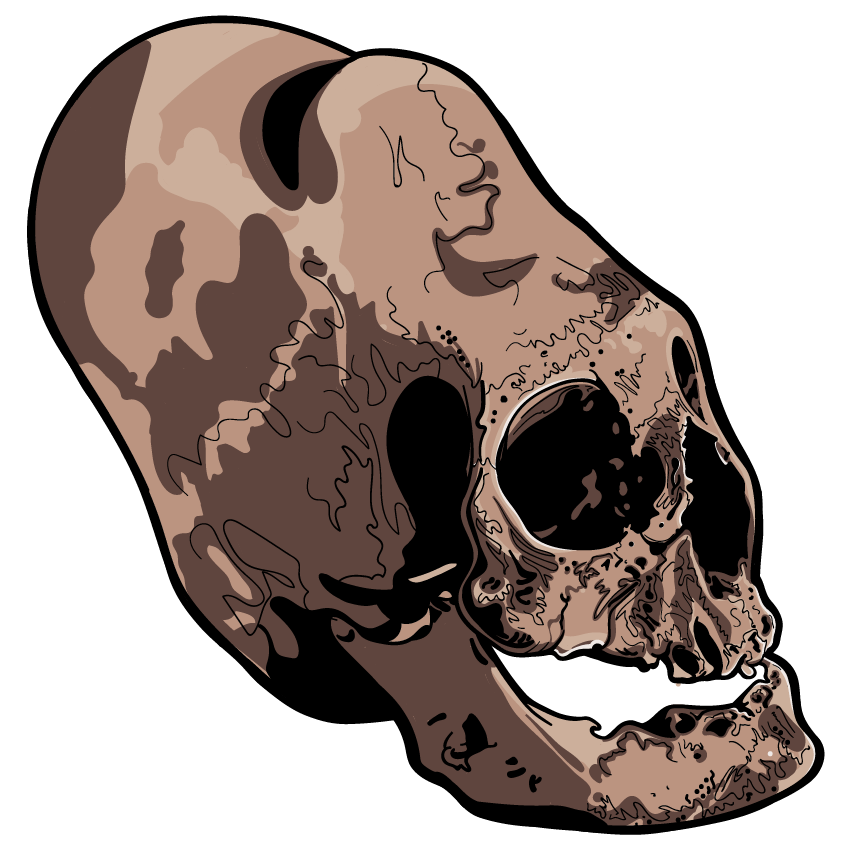 Skull Art Sticker Pack messages sticker-6