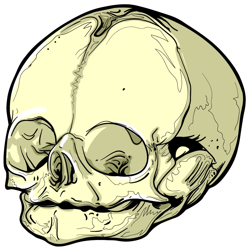 Skull Art Sticker Pack messages sticker-4