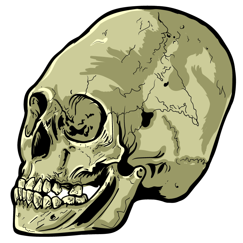 Skull Art Sticker Pack messages sticker-1
