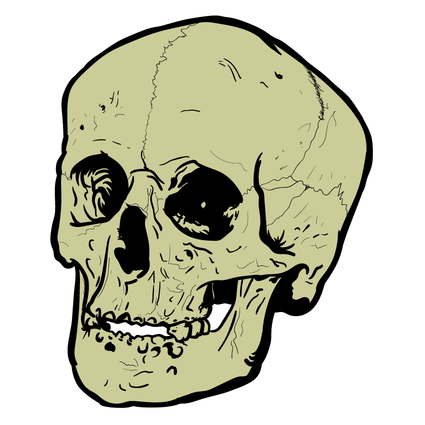Skull Art Sticker Pack messages sticker-0