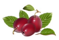 FruitMojis - Beautiful Fruit Stickers messages sticker-10