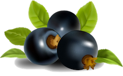 FruitMojis - Beautiful Fruit Stickers messages sticker-0