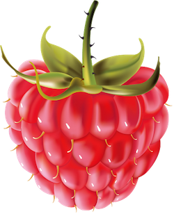 FruitMojis - Beautiful Fruit Stickers messages sticker-9
