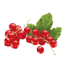 FruitMojis - Beautiful Fruit Stickers messages sticker-5