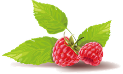 FruitMojis - Beautiful Fruit Stickers messages sticker-11