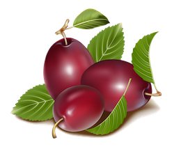 FruitMojis - Beautiful Fruit Stickers messages sticker-8
