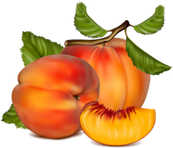 FruitMojis - Beautiful Fruit Stickers messages sticker-3