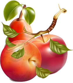 FruitMojis - Beautiful Fruit Stickers messages sticker-4