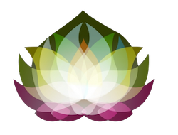 Beautiful Flower Stickers messages sticker-6