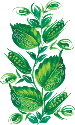 Beautiful Flower Stickers messages sticker-10