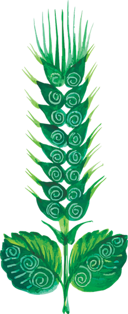 Beautiful Flower Stickers messages sticker-11