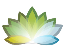 Beautiful Flower Stickers messages sticker-1