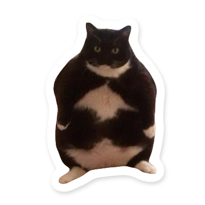 Elite Cats messages sticker-6
