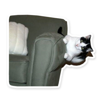 Elite Cats messages sticker-2