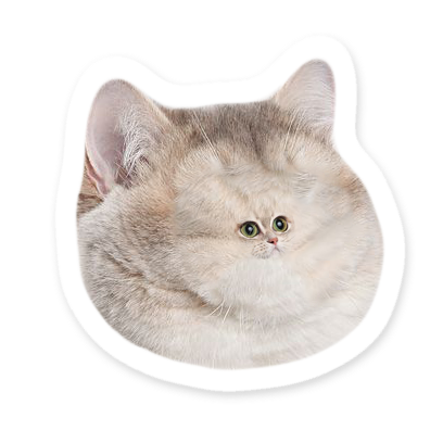 Elite Cats messages sticker-1