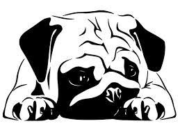 Thug Life & Pug Life Stickers messages sticker-4