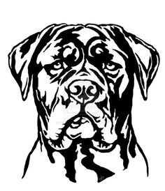 Thug Life & Pug Life Stickers messages sticker-1