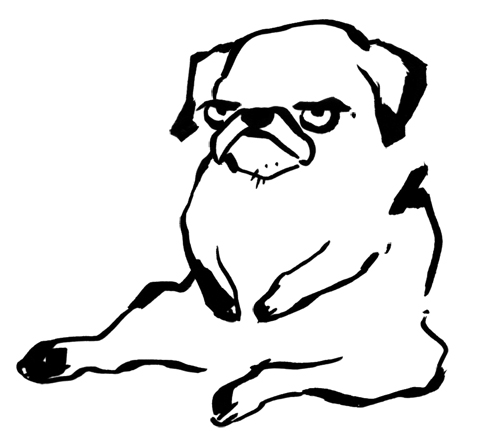 Thug Life & Pug Life Stickers messages sticker-11
