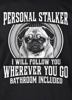 Thug Life & Pug Life Stickers messages sticker-10