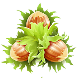 Nuts Stickers messages sticker-7