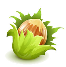 Nuts Stickers messages sticker-10
