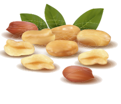 Nuts Stickers messages sticker-2