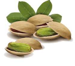 Nuts Stickers messages sticker-1