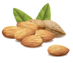 Nuts Stickers messages sticker-3
