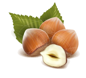 Nuts Stickers messages sticker-4