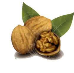 Nuts Stickers messages sticker-5
