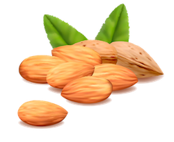 Nuts Stickers messages sticker-11