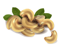 Nuts Stickers messages sticker-0