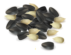 Nuts Stickers messages sticker-6