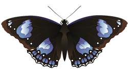 Butterfly Art Stickers messages sticker-5