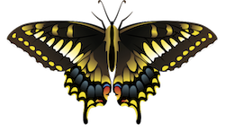 Butterfly Art Stickers messages sticker-1
