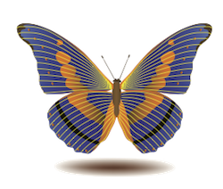 Butterfly Art Stickers messages sticker-8
