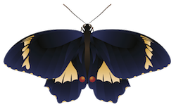 Butterfly Art Stickers messages sticker-2