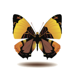 Butterfly Art Stickers messages sticker-6