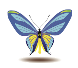 Butterfly Art Stickers messages sticker-7