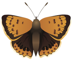 Butterfly Art Stickers messages sticker-4