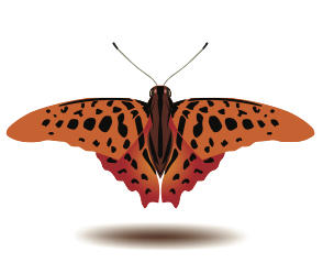 Butterfly Art Stickers messages sticker-10