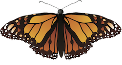 Butterfly Art Stickers messages sticker-0
