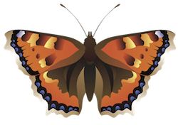 Butterfly Art Stickers messages sticker-3