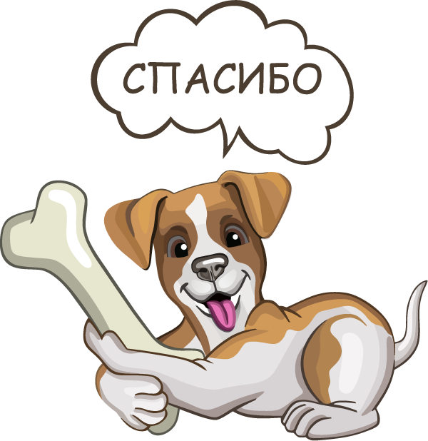 Джек Рассел - милая собачка messages sticker-6