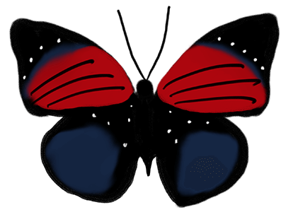 Colorful Butterflies messages sticker-0