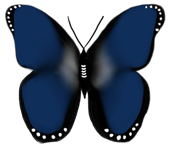 Colorful Butterflies messages sticker-9