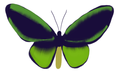 Colorful Butterflies messages sticker-2